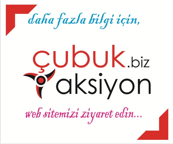 cubukaksiyon.com