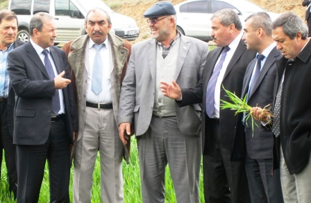 Şereflikoçhisar’da Tarım Alanları İncelendi