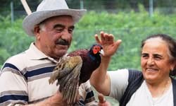 Doğa İçin Keklik ve Sülün Üretiliyorlar