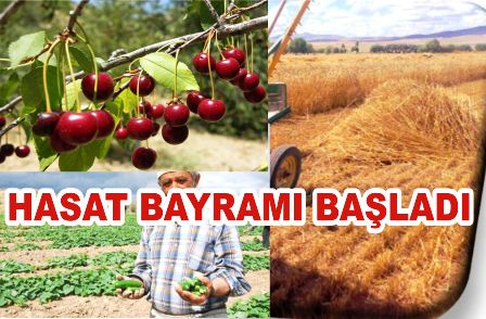 Çubuk’un Ünlüleri Yetişti