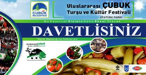 9. Uluslararası Çubuk Turşu ve Kültür Festivali