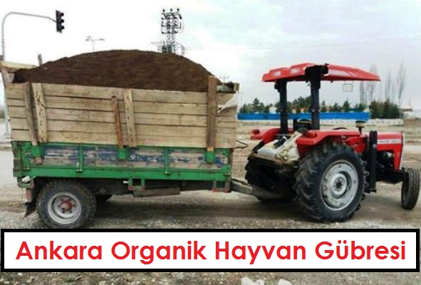 Ankara Organik Hayvan Gübresi