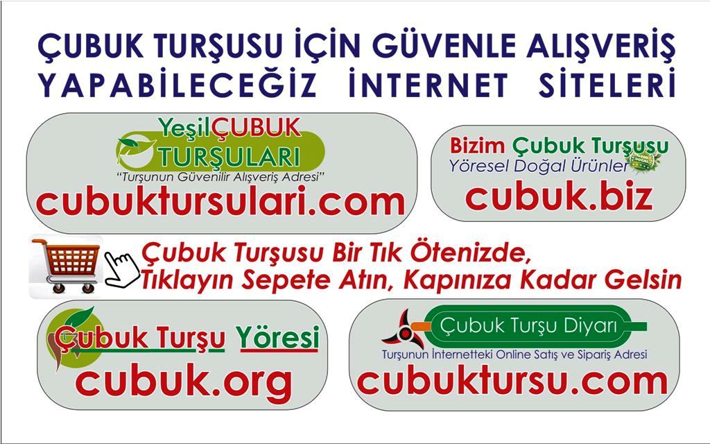 Ev Yapımı Doğal Çubuk Turşusu