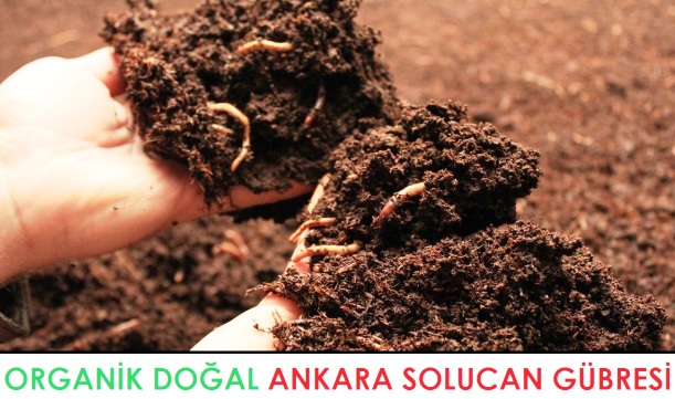 Ankara Solucan Gübresi | Organik Doğal Solucan Gübre