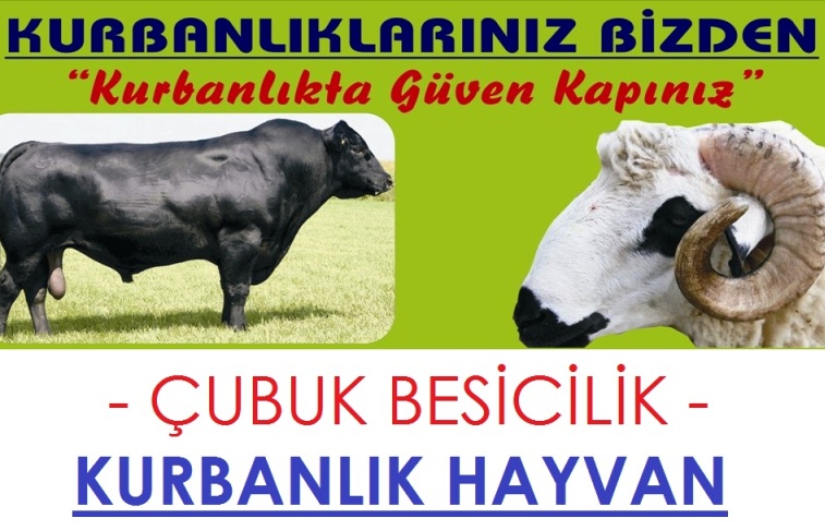 Başkent Kurban ve Hayvancılık