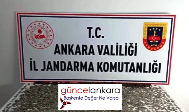 Jandarma, Ankara’nın 4 tarafında 20 şüpheliyi yakaladı